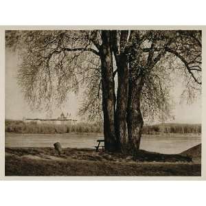  1928 Benedictine Abbey Melk Danube River Austria Tree 