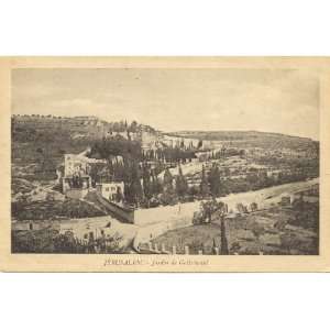  1920s Vintage Postcard Garden of Gethsemane Jerusalem 