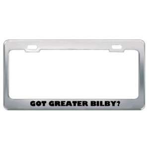  Got Greater Bilby? Animals Pets Metal License Plate Frame 
