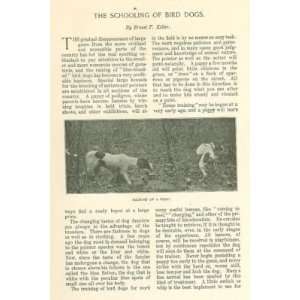  1899 Training Bird Dogs To Hunt illustrated Everything 