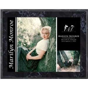  Marilyn Monroe/Tree Sitting Plaque