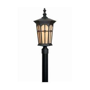 On Sale Hinkley Lighting Warwick Patina Black Outdoor Large Lamp Post 
