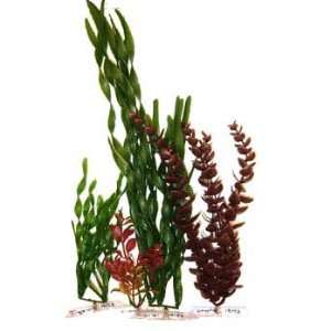   Multi   pack 4 (Catalog Category Aquarium / Plastic Plants natural