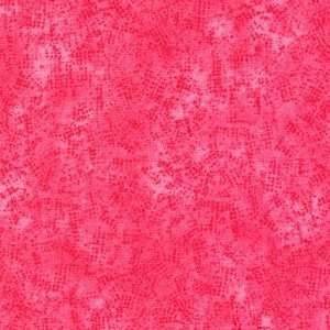  Freckles blender quilt fabric by Northcott, 2130 28 Arts 