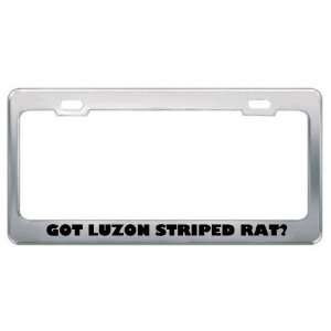 Got Luzon Striped Rat? Animals Pets Metal License Plate Frame Holder 