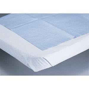    Sheet, Stretcher, Tissue/poly, 40x72, Blu