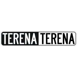   NEGATIVE TERENA  STREET SIGN