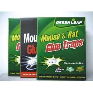  Green Leaf Mouse & Rat Glue Trap