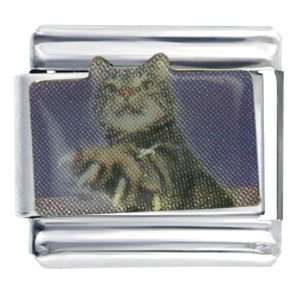  Gray Tabby Cat Gift Italian Charm Pugster Jewelry