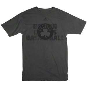  Boston Celtics Grey Team Player Pigment Dyed T Shirt 