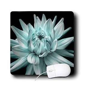   Photography   Blue Dahlia Corona Flower   Mouse Pads Electronics