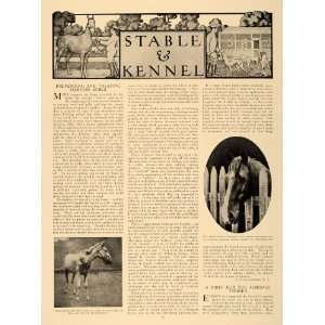  1909 Article Stable Kennel Airdale Terrier Horse Care 