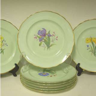 Set of 8 George Jones Green Botanical Dinner Plates  