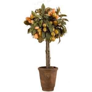  Uttermost 35.5 Inch Loquat Topiary Beautiful Artifical 