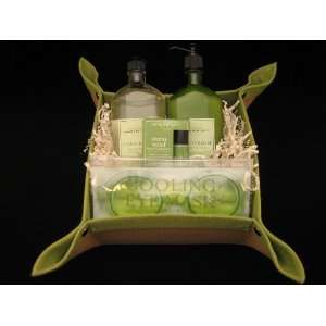  Bath & Body Works Aromatherapy Eucalyptus Spearmint Gift Basket 