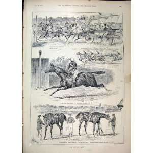  1893 Gold Cup Ascot Horse Racing Buccaneer Orvieto