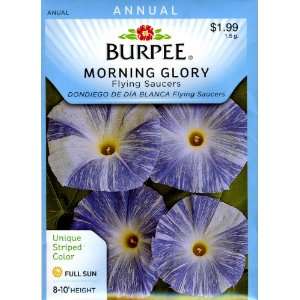  Burpee 48496 Morning Glory Flying Saucers Seed Packet 