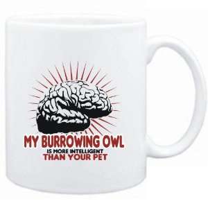   Burrowing Owl is more intelligent than your pet  Animals Sports