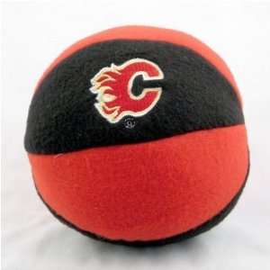 Calgary Flames Children/Baby Team Ball NHL Hockey  Sports 