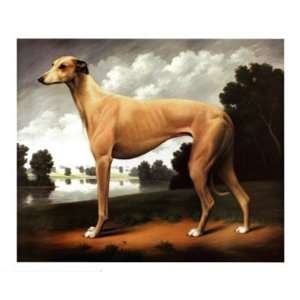  Greyhound in a Parkland Landscape by Christine Merrill 