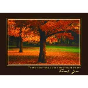  Colors of the Fall Holiday Cards