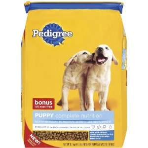 Pedigree Healthy Start for Puppies Grocery & Gourmet Food