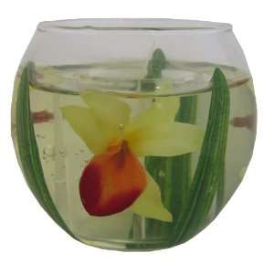  Cattleya Orchid Gel Candle By Candle in the Wind 