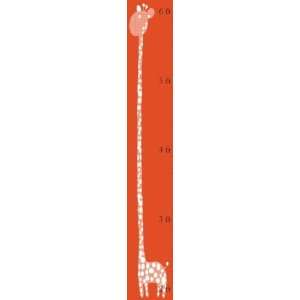  Green Coconut C1311c Large Stand Tall Orange Growth Chart 