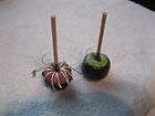 New  Candy Apple on a stick Ornament Set of 2