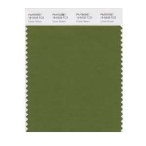   SMART 18 0328X Color Swatch Card, Cedar Green