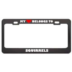 My Heart Belongs To Squirrels Animals Metal License Plate Frame Holder 