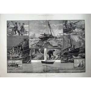  1883 Fishing Industries Spratting Fish Net Boat Sea Art 