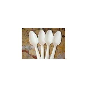  Plastic Disposable Spoons 1000 Pack 