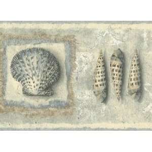  Sea Shells Wallpaper Border CR061152b
