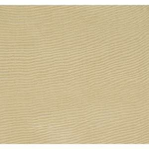  2101 Drogan in Travertine by Pindler Fabric