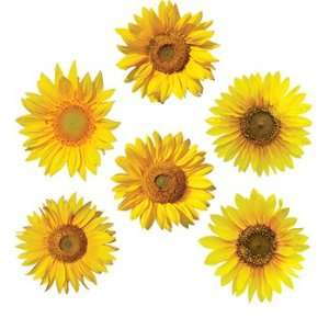  New Edupress Sunflowers Mini Accents date markers game pieces name 