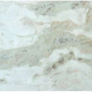  Montego Sela Persian Green 12 X 12 Polished Marble Tile 