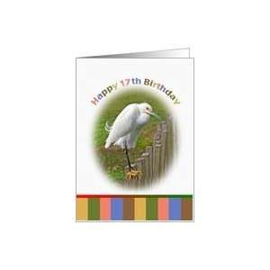  17th Birthday Card with Snowy Egret on a Fence Card Toys & Games