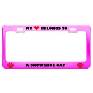  A Snowshoe Cat Pet Pink Metal License Plate Frame Tag 