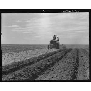   driving tractor with young son near Cland, New Mexico