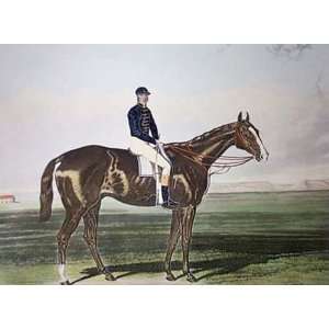 Meteor Etching Hall, Harry Hunt, George Horse Racing Steeple Chasing 