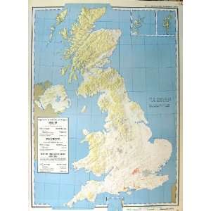   Map Britain Ireland 1963 Forest Trees Beech Sycamore