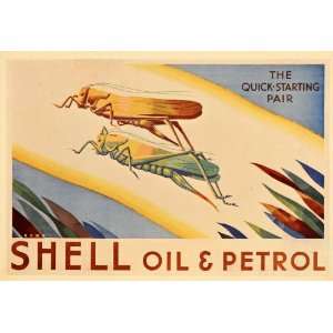  1933 Shell Oil Gas Grasshoppers Hooper Rowe Mini Poster 
