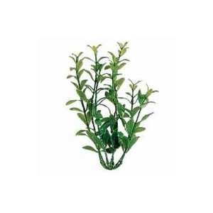   Plant / Green Size 24 Inch By United Pet Group Tetra
