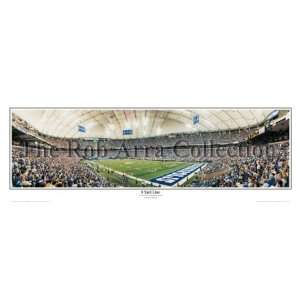  Colts 8 Yard Line 2005 vs. Jaguars Panoramic Photo Sports 