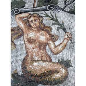  Astral Sign of Virgo in Mosaic in Galleria Umberto, Naples 