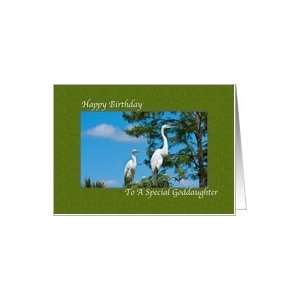  Goddaughters Birthday Card with Two Egrets Card Health 