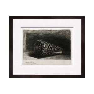  The Shell conus Marmoreus Framed Giclee Print