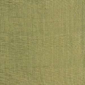  2462 Visage in Sesame by Pindler Fabric