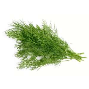 Fresh Dill 4 Oz  Grocery & Gourmet Food